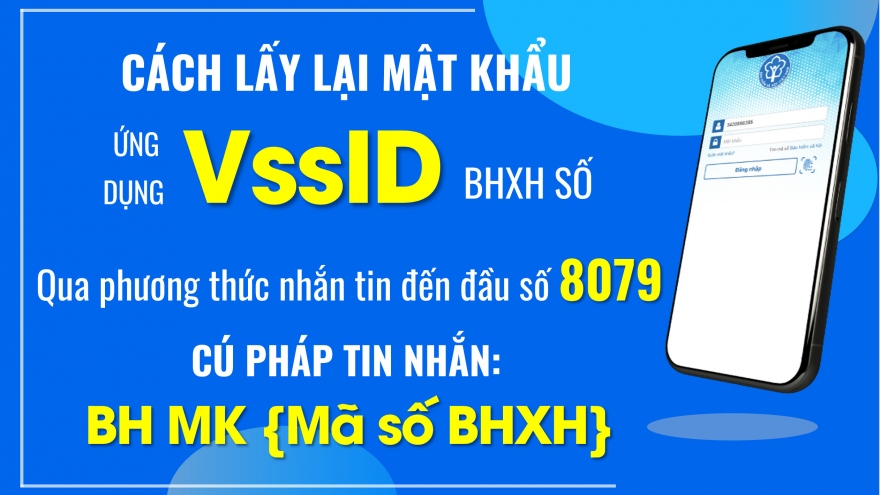 BHXH Việt Nam dừng triển khai một số tin nhắn dịch vụ tra cứu tới đầu số 8079